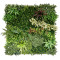 GREEN WALL | DESIGN C | 1000MM